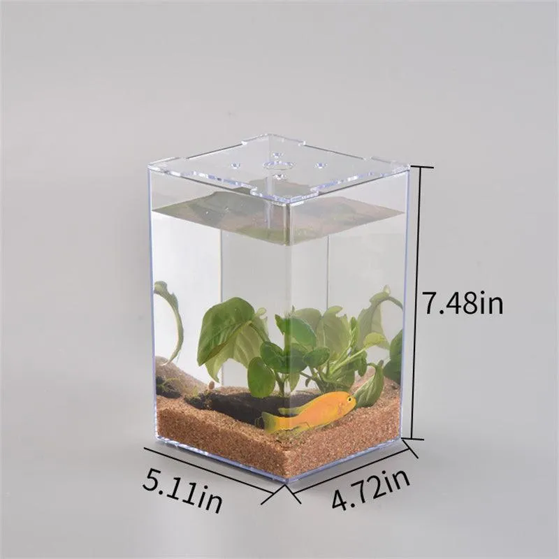 Acrylic Desktop Fish Tank