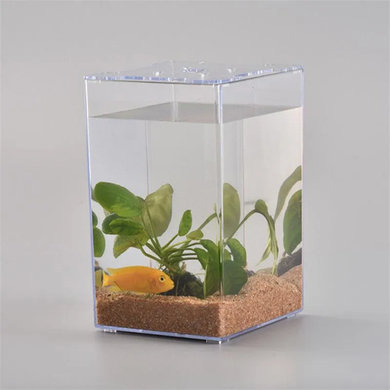 Acrylic Desktop Fish Tank