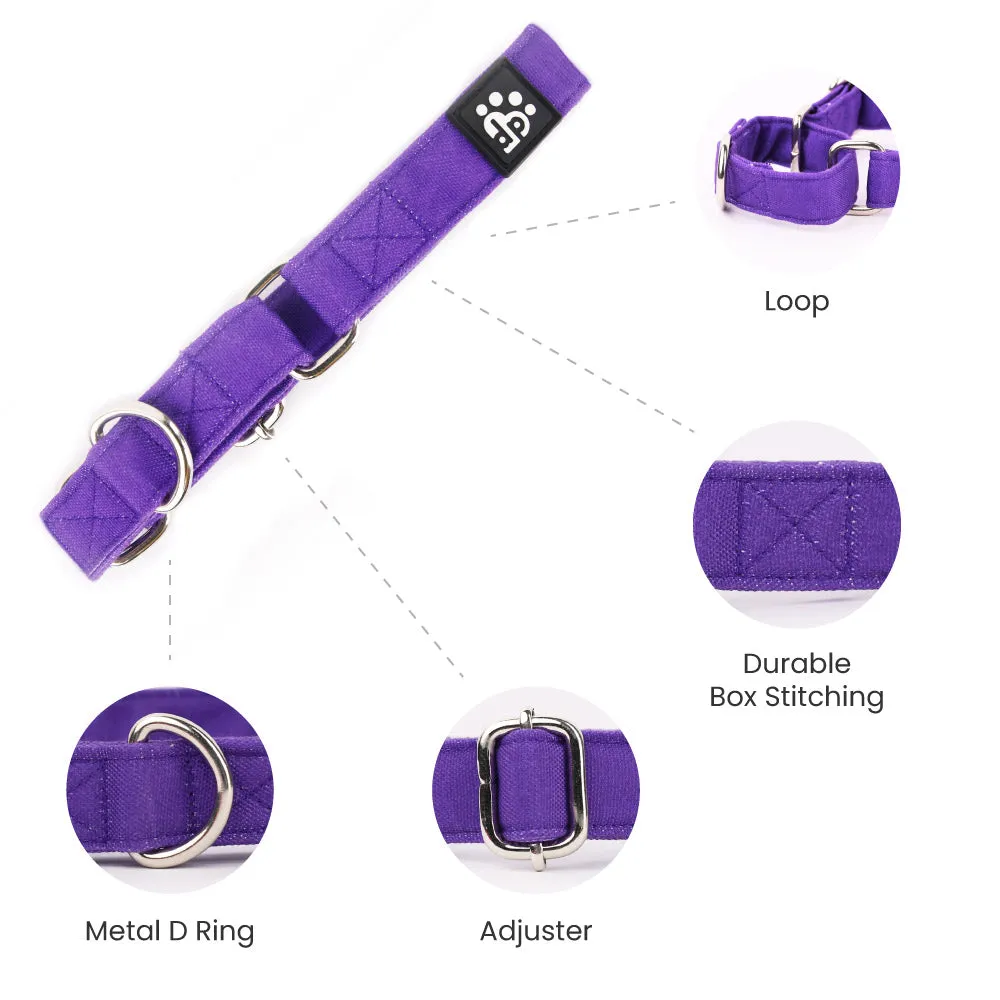 Dear Pet Classic Martingale Purple Dog Collar