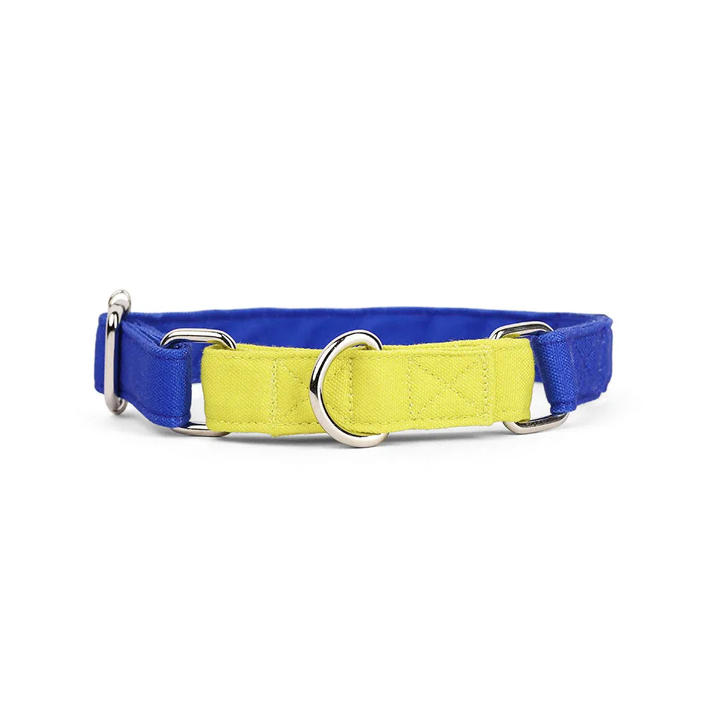 Dear Pet Double Trouble Martingale Blue & Lime Dog Collar