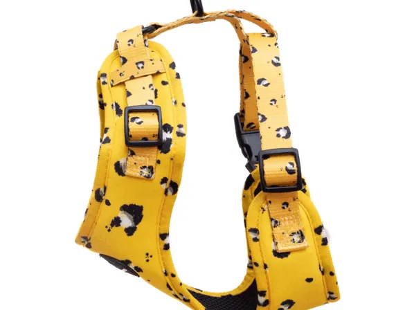 Funk The Dog Harness | Mustard Panda