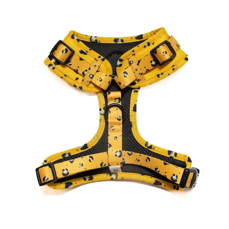 Funk The Dog Harness | Mustard Panda