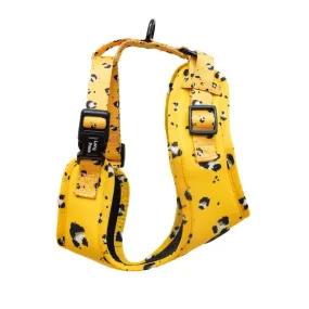 Funk The Dog Harness | Mustard Panda