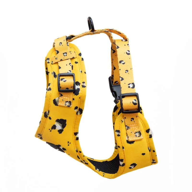 Funk The Dog Harness | Mustard Panda