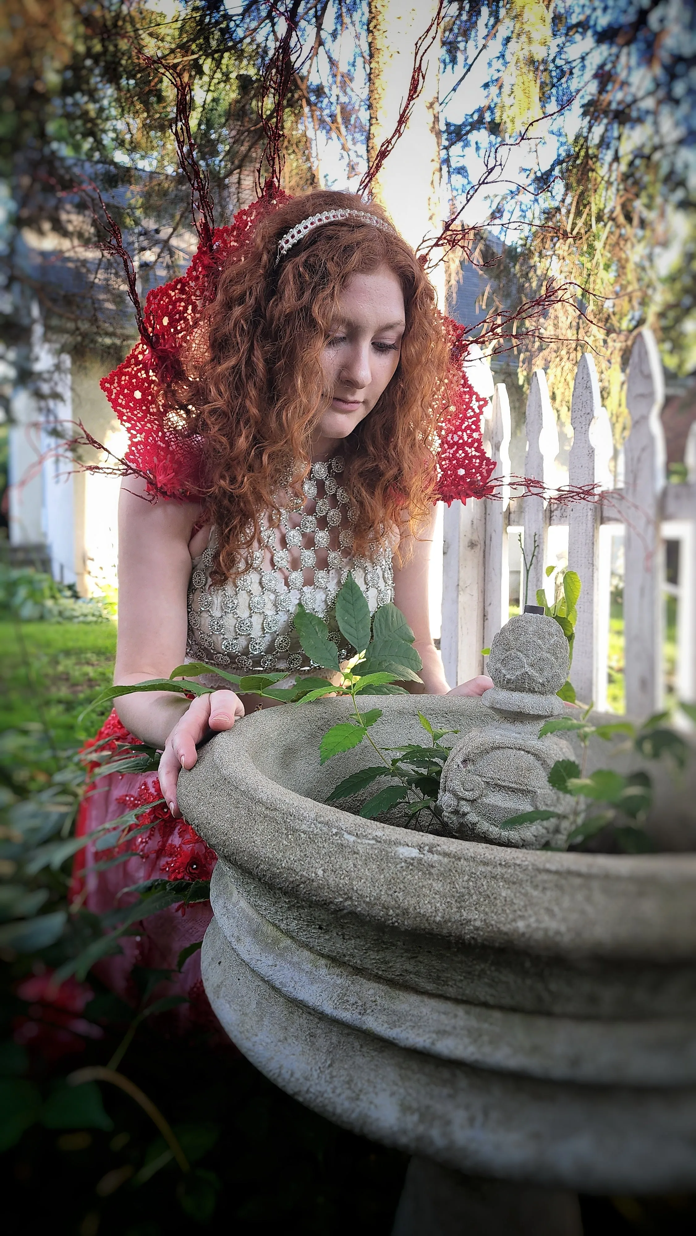 Red Queen Fan Lace Stand Up Collar