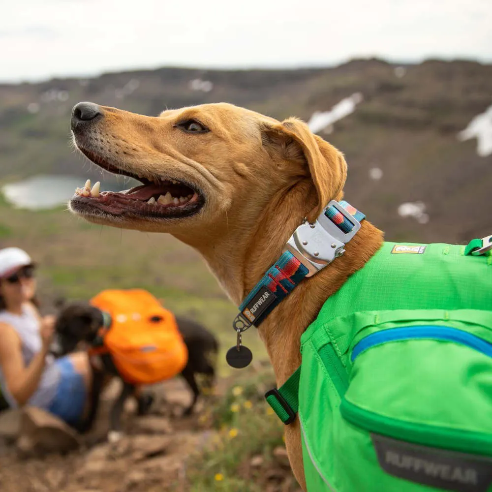 Ruffwear Top Rope Reflective Ballasted Dog Collar (Seafoam)