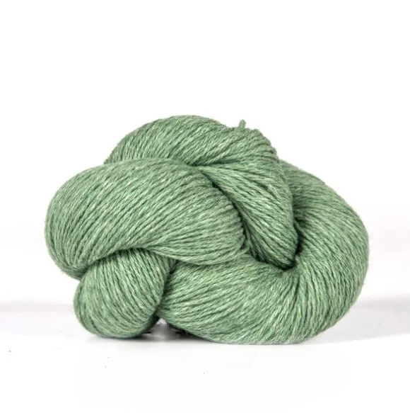 Xyris Kit Size 1-3 (Lichen 03)